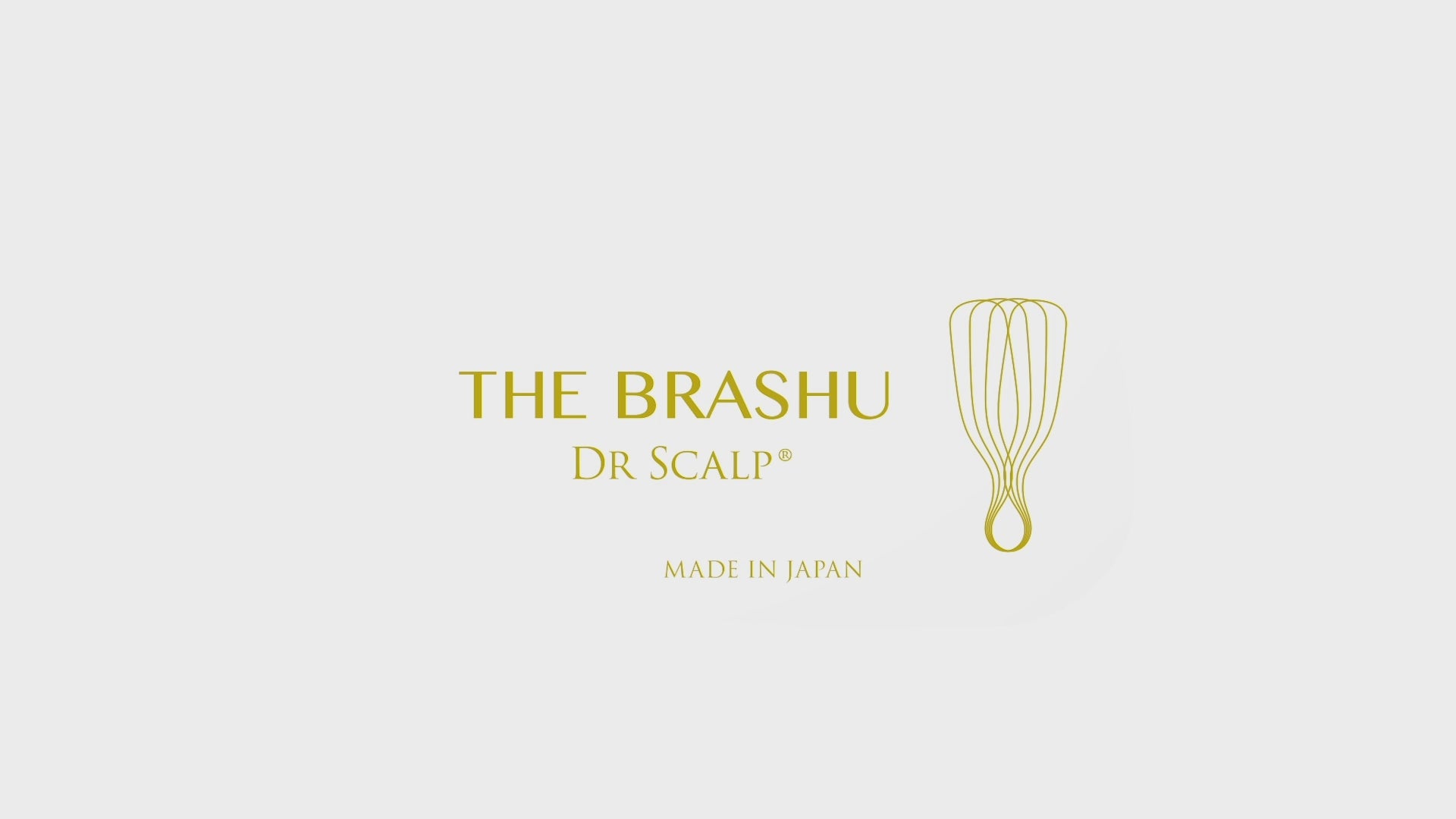 Dr. Scalp The Brashu Brush, mybeza.com